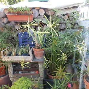Bed & Breakfast Gli Angeli 